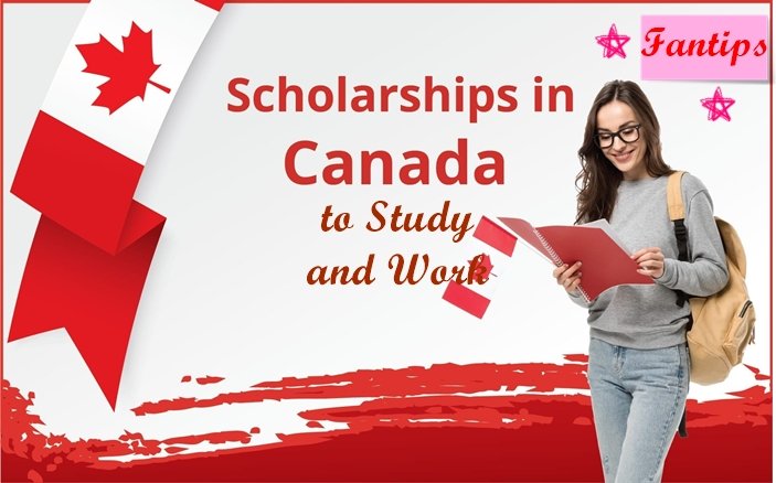 Scholarships Program in Canada to Work